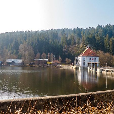 Ferienhaus Nr 18B1, Feriendorf Hagbügerl, Bayr Wald Waldmünchen Exterior foto